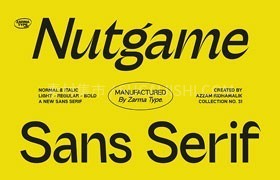 NutgameִӢ޳